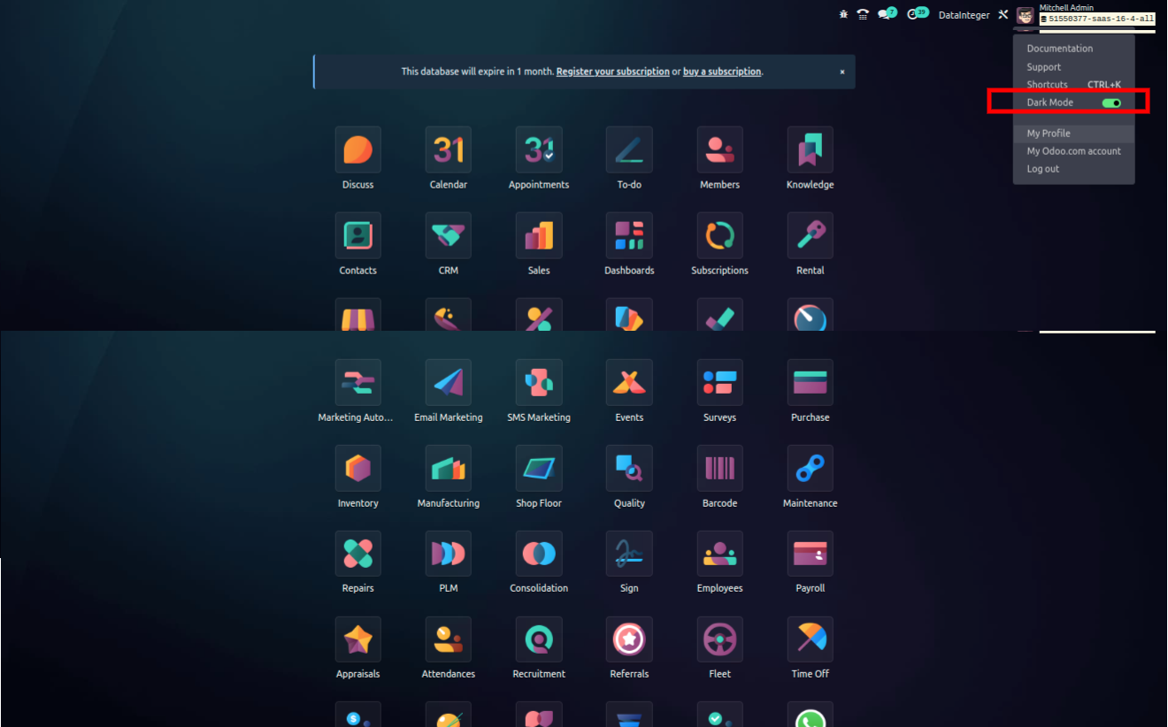 Odoo 17 Dark Mode Configuration